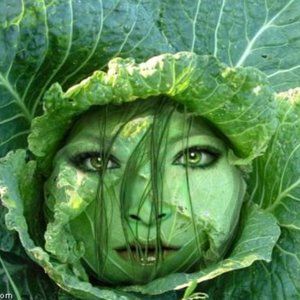 Meet your Posher, Vita